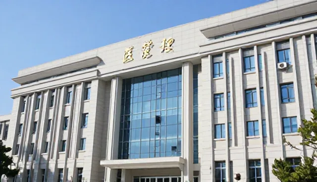 技术咨询回访中客户反馈影响项目效果的原因分析